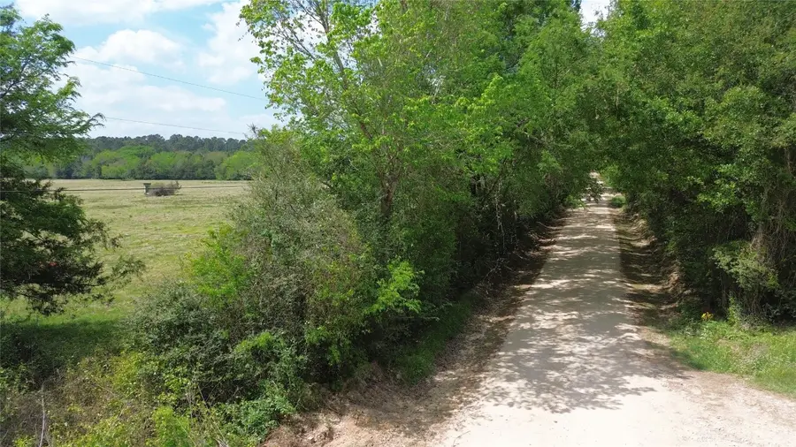 968 Cr 3490, Lovelady, TX 75851 - #2