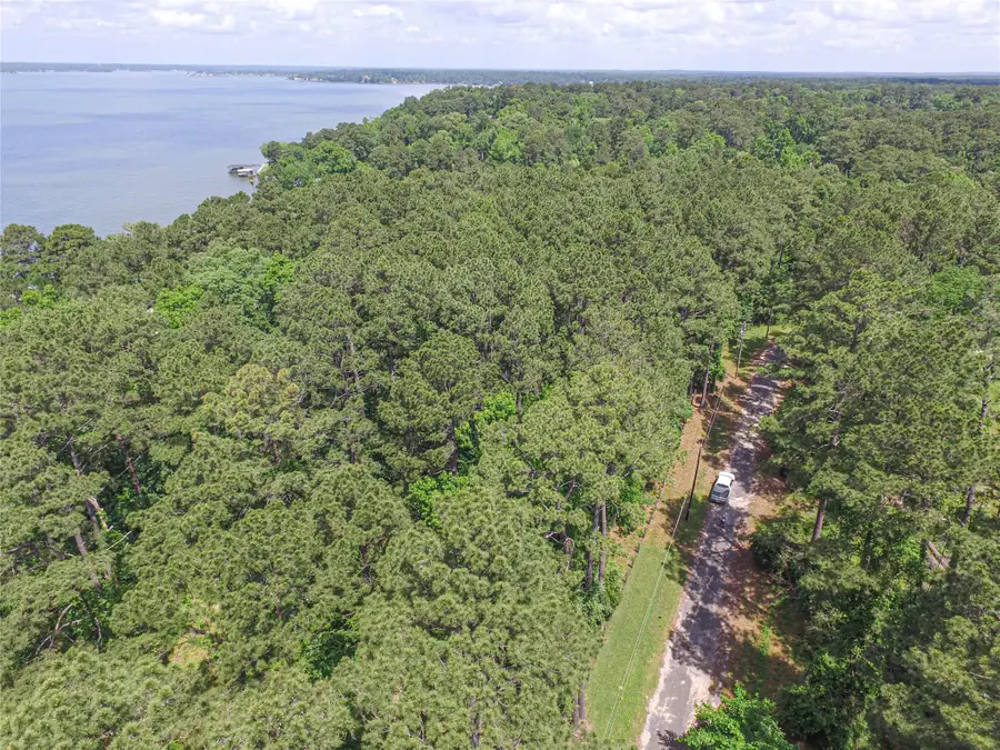 TBD Cedar, Livingston, TX 77351 - Image #3