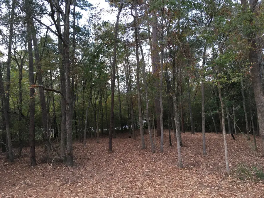 1930 Autumn Ridge Drive Drive, Conroe, TX 77304 - Image #3