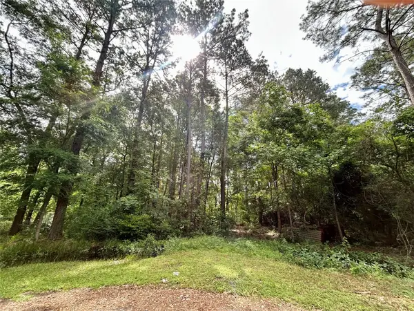 19356 Lady Bug, Porter, TX 77365