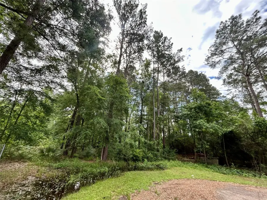 19356 Lady Bug, Porter, TX 77365 - #2