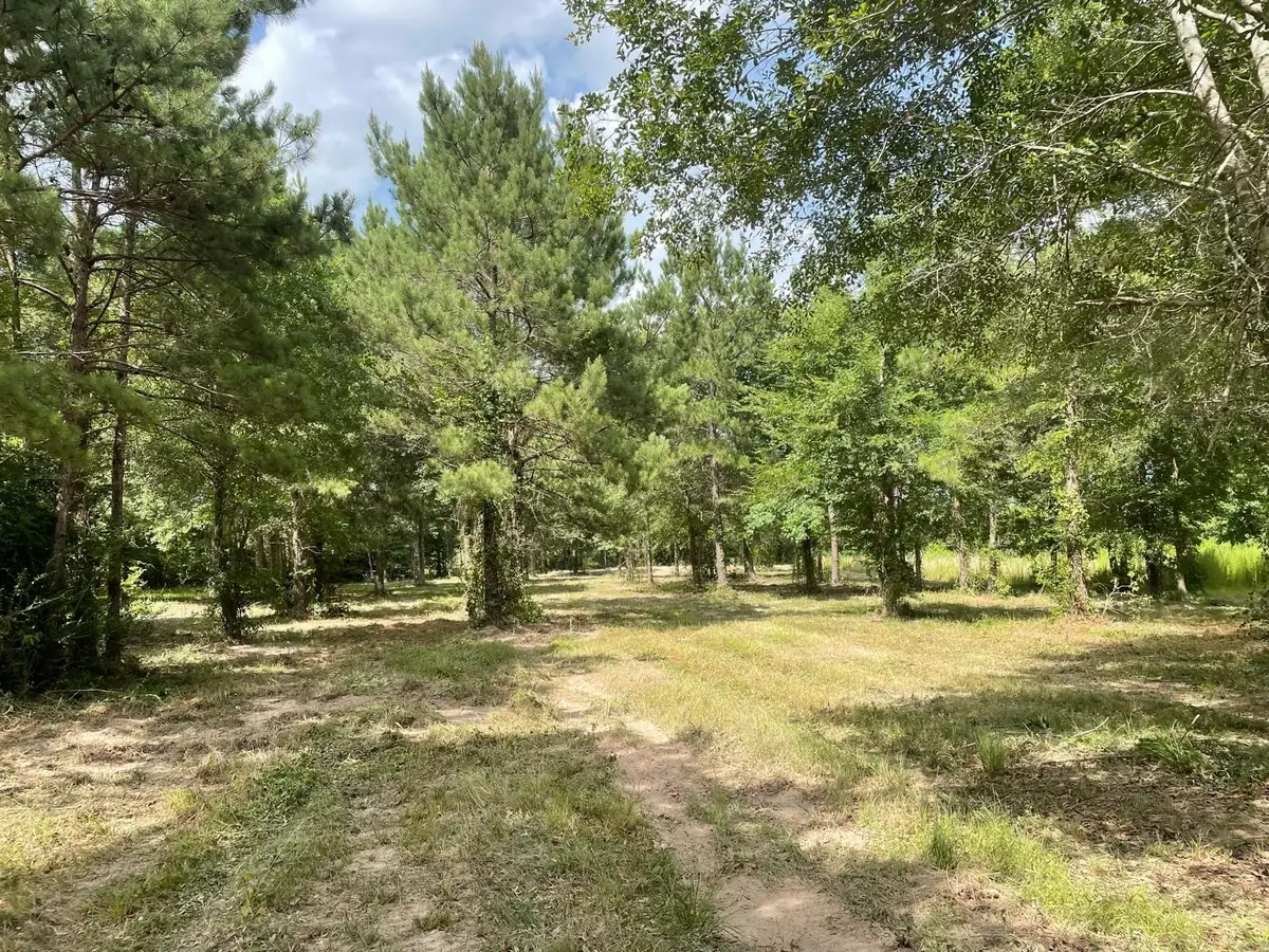 502 County Road 3408, Cleveland, TX 77327 - Image #1