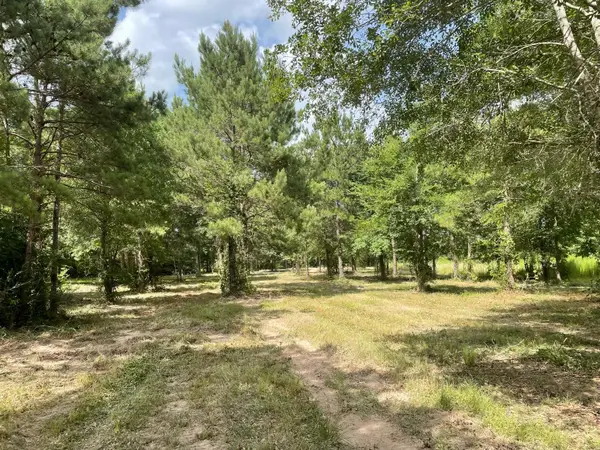 502 County Road 3408, Cleveland, TX 77327