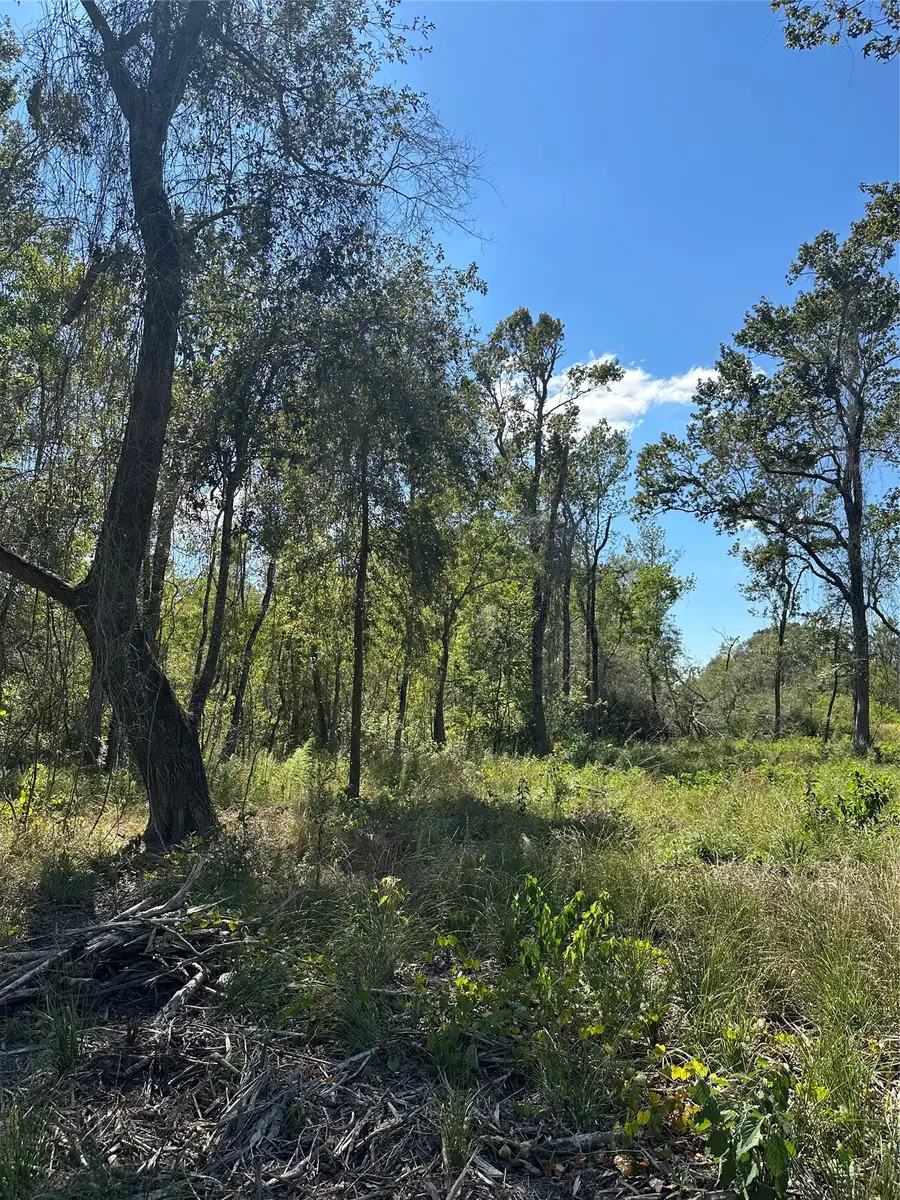 1520 Fm 160 Road N, Liberty, TX 77575 - #3