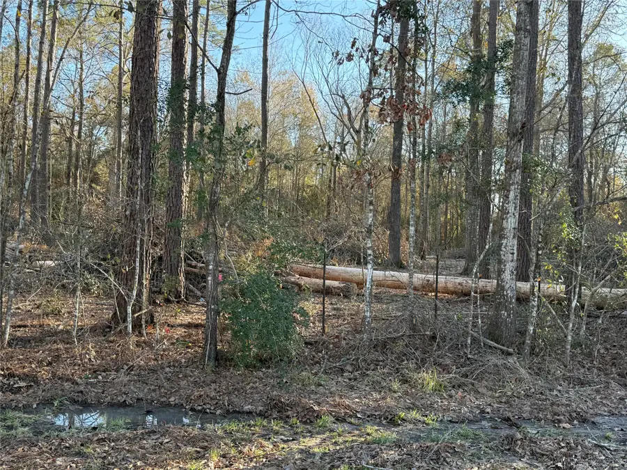 0 Cr 308, Cleveland, TX 77327 - #2