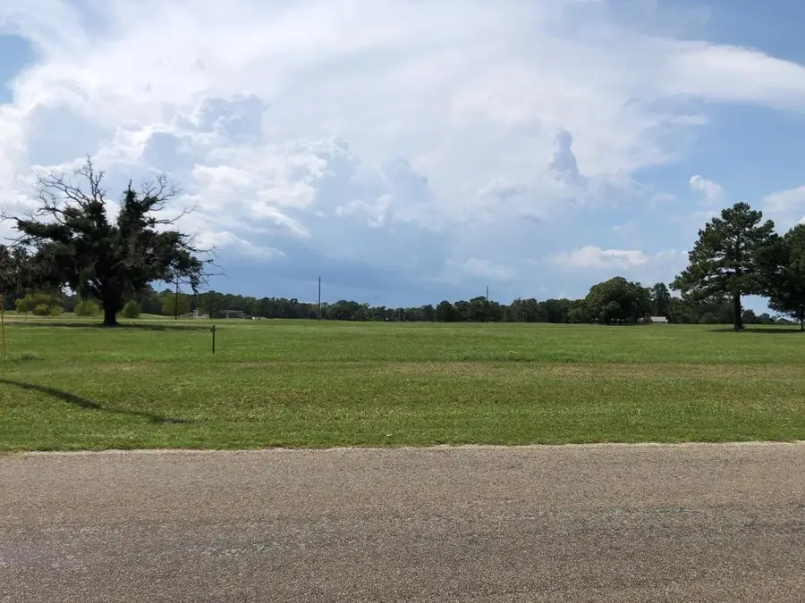NA Charleston Street, Trinity, TX 75862 - #2