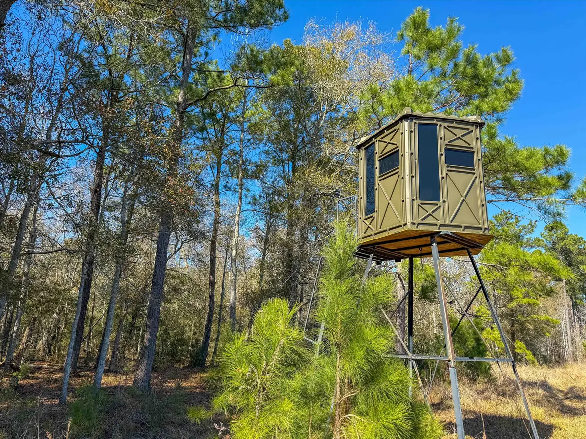 0000 Hwy 61, Devers, TX 77538 - #1