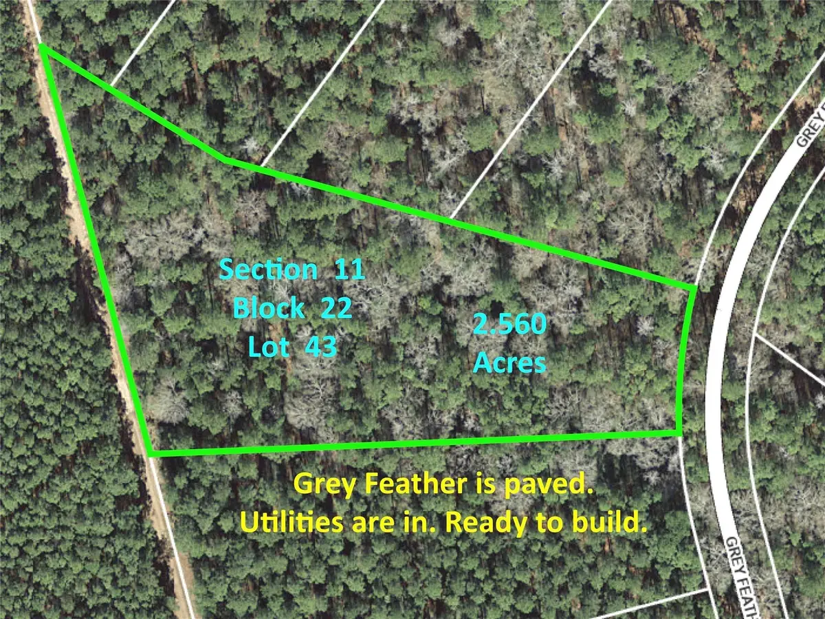 215 Grey Feather Road, Huntsville, TX 77340 - Image #1