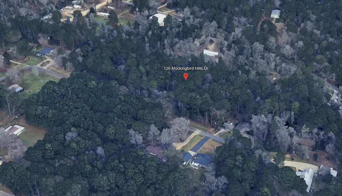 126 Mockingbird Hills, Livingston, TX 77351 - #1