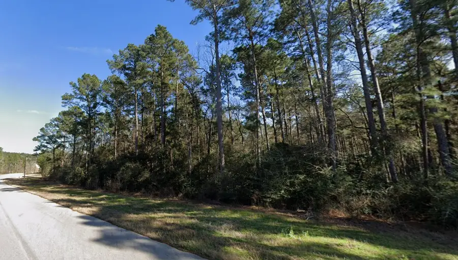 5-25-19 Feldspar Lane, Huntsville, TX 77340 - #2