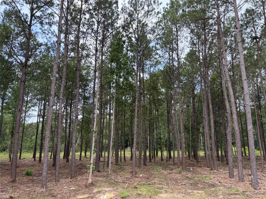 13660 Armstrong Street, Conroe, TX 77303 - #2