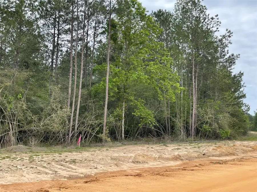 11631 Grand North Road, Willis, TX 77358 - #3