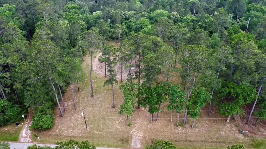 19110 Veterans Rd, Magnolia, TX 77355 - #3