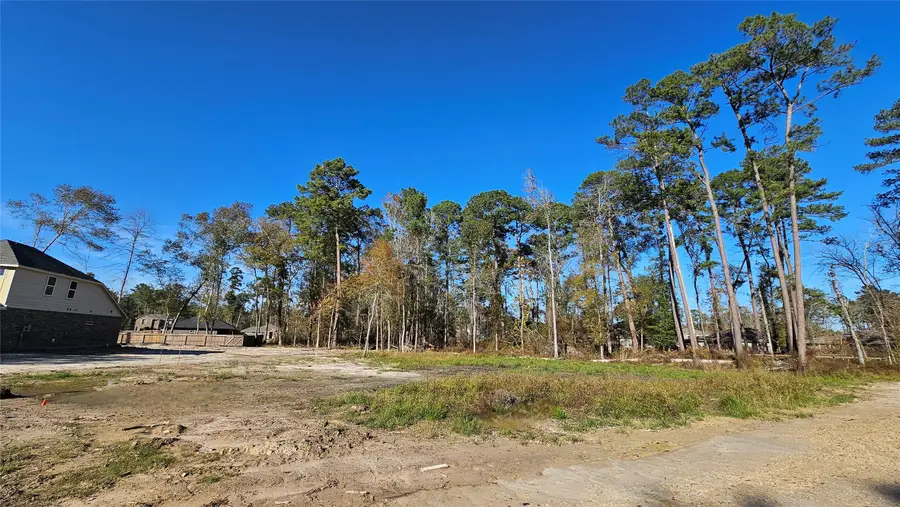 818 Scribe Street, New Caney, TX 77357 - Image #2