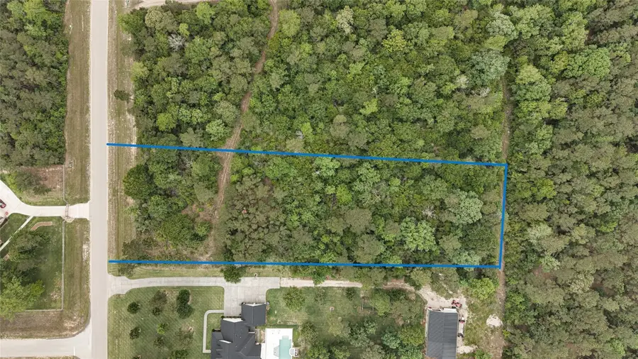 10681 Ruger Road, Willis, TX 77378 - #3