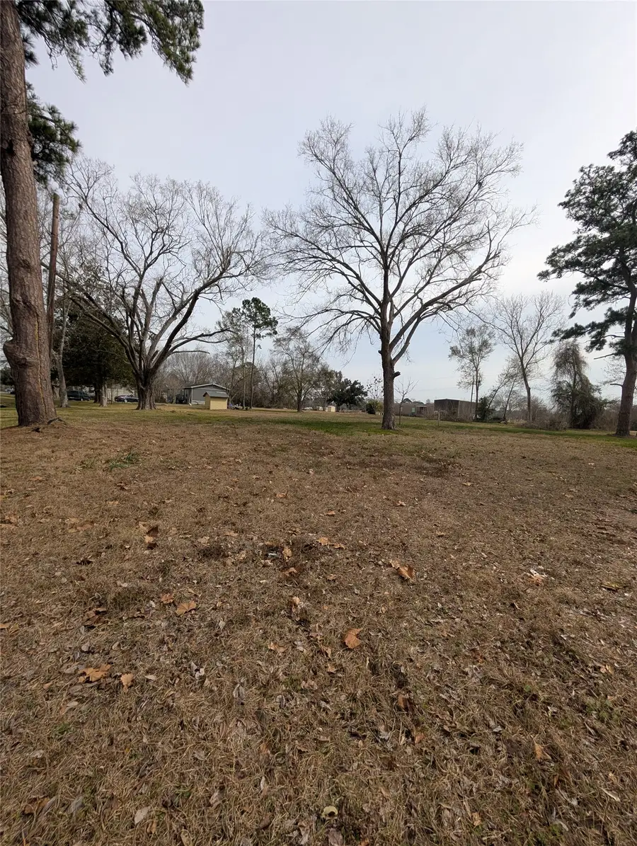 735 Sandpit Road, Alvin, TX 77511 - #3