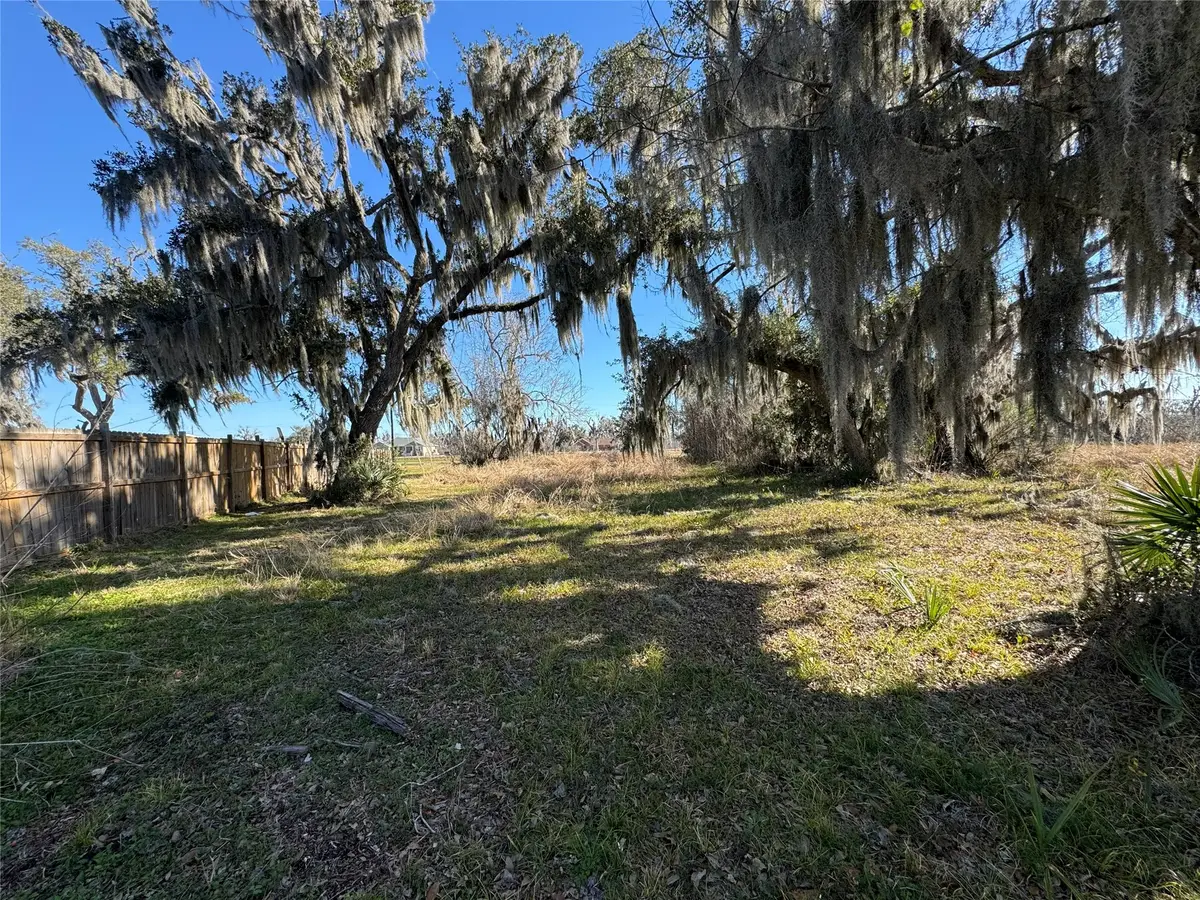 20318 County Road 461, Brazoria, TX 77422 - #1