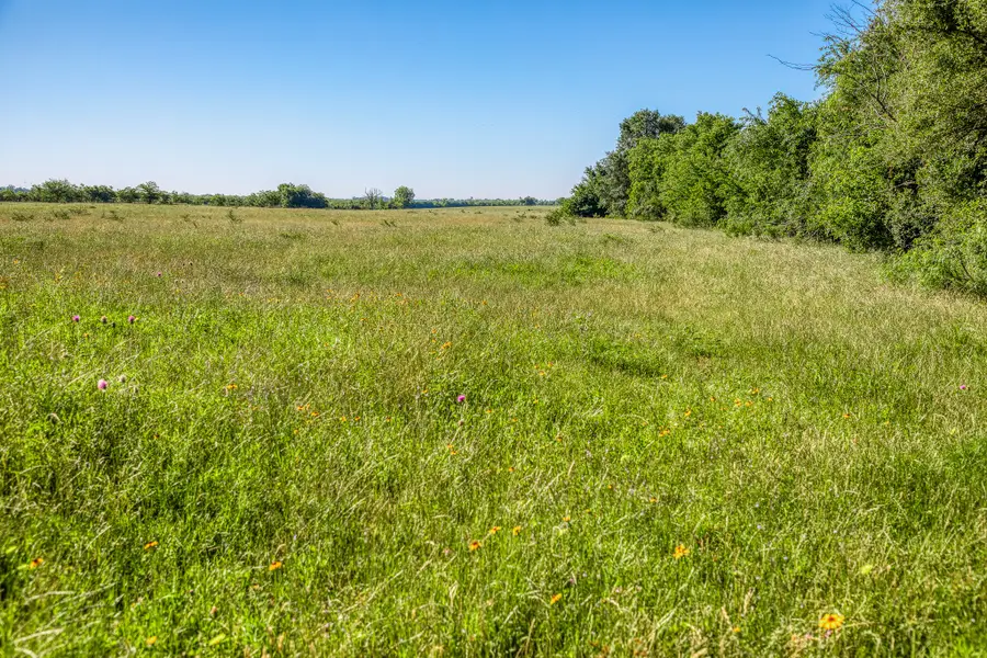 00000 Flat Prairie Road, Washington, TX 77880 - #2