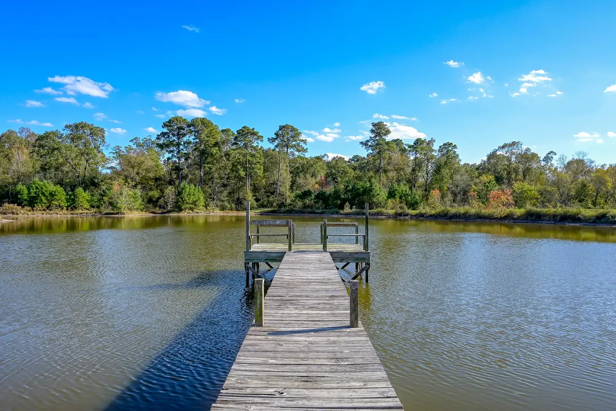 125 ACRES Spring Branch Road, Montgomery, TX 77316 - Image #1