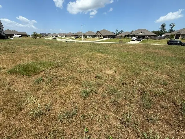 4412 Leslies Way, Dickinson, TX 77539 - #3