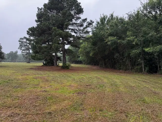 10455 Idaho, Midway, TX 75852 - #1