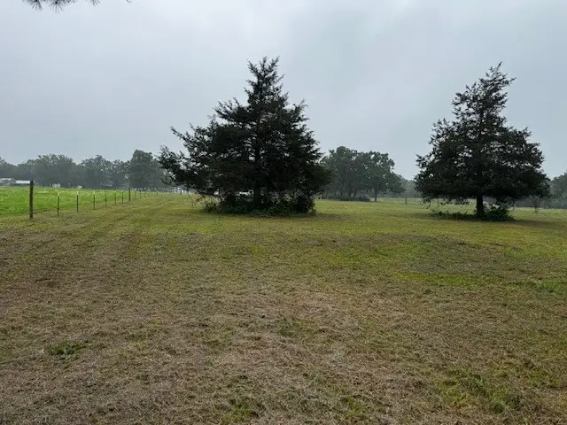 10455 Idaho, Midway, TX 75852 - #3
