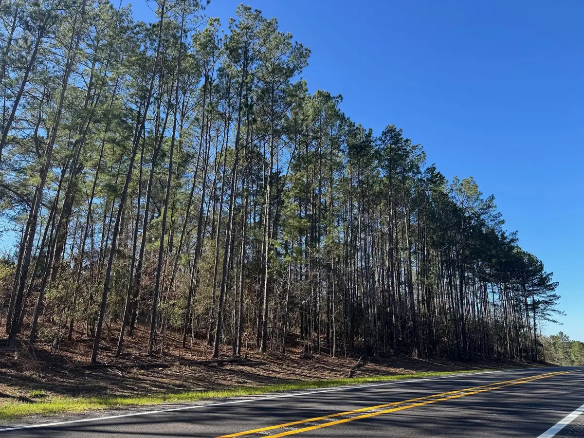 TBD Fm 1745 N, Colmesneil, TX 75938 - Image #1