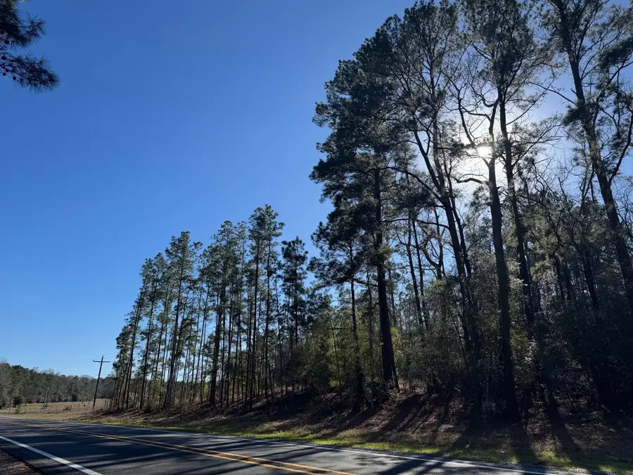 TBD Fm 1745 N, Colmesneil, TX 75938 - Image #2