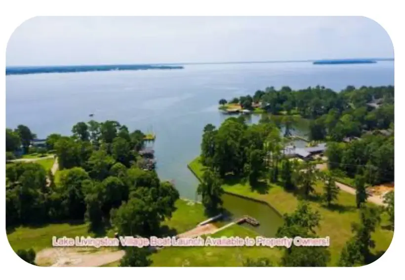 160 Champion Way, Livingston, TX 77351 - #3