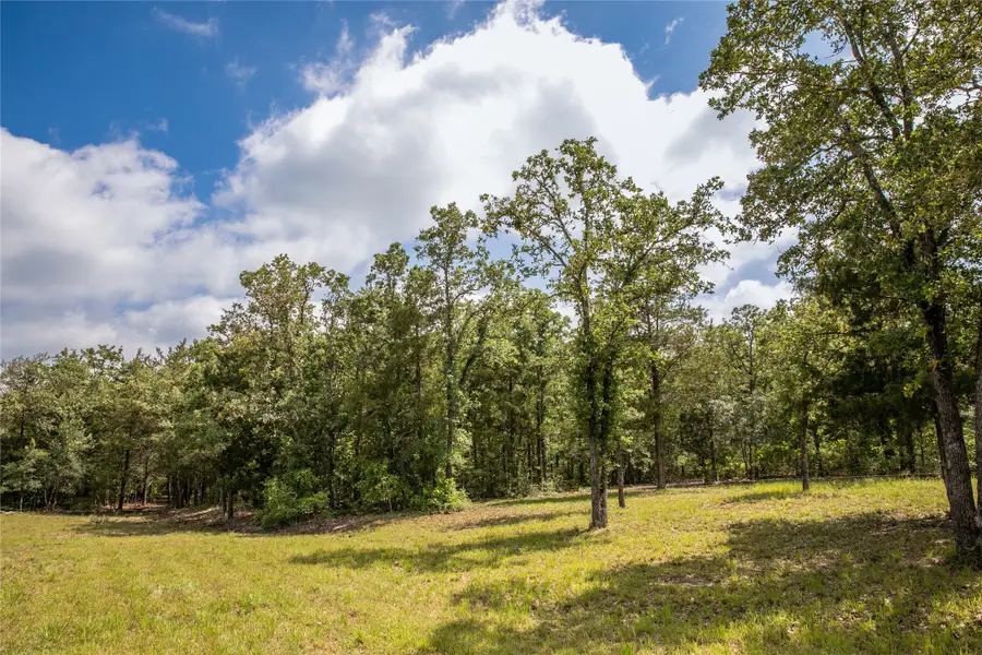 12899 Young Lane, Carmine, TX 78932 - #2