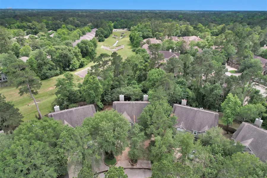 191 Blushwood Place, The Woodlands, TX 77382 - #2