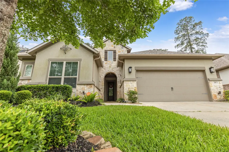 231 Bee Balm Court, Conroe, TX 77304 - #2