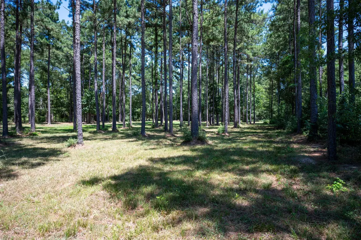 TBD County Road 4670, Fred, TX 77616 - #1