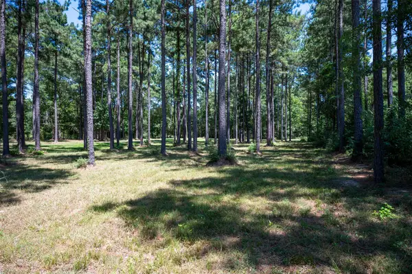 TBD County Road 4670, Fred, TX 77616