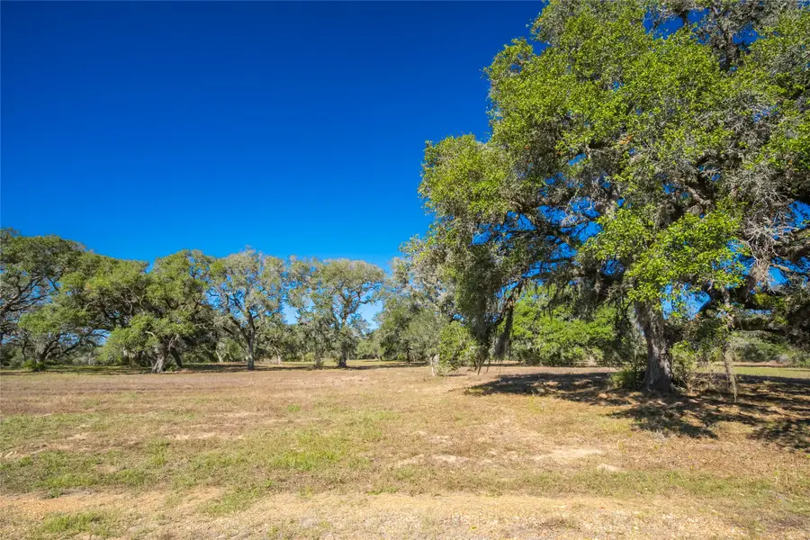 1293 Pintail, Rock Island, TX 78934 - Image #3