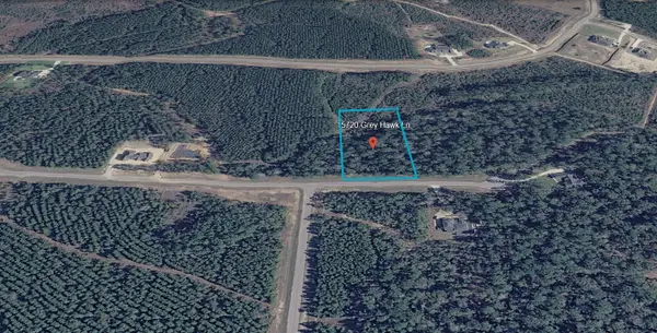 15720 Grey Hawk Ln, Willis, TX 77378