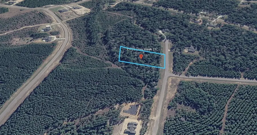 15720 Grey Hawk Ln, Willis, TX 77378 - #2