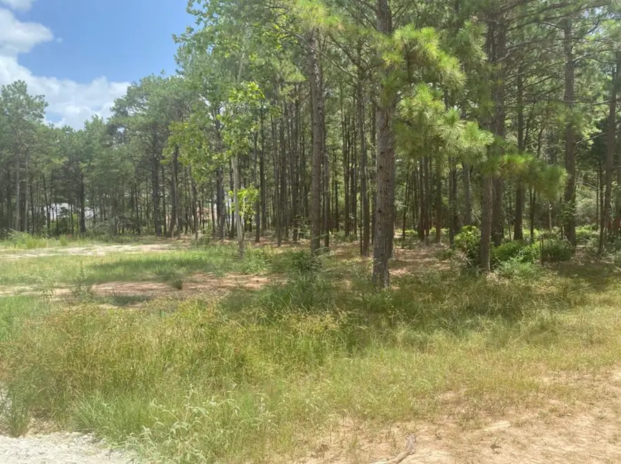 15310 Thistle Down, Cypress, TX 77429 - #2