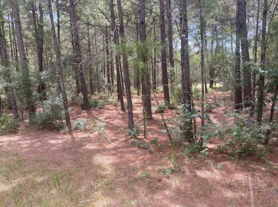 15310 Thistle Down, Cypress, TX 77429 - #3