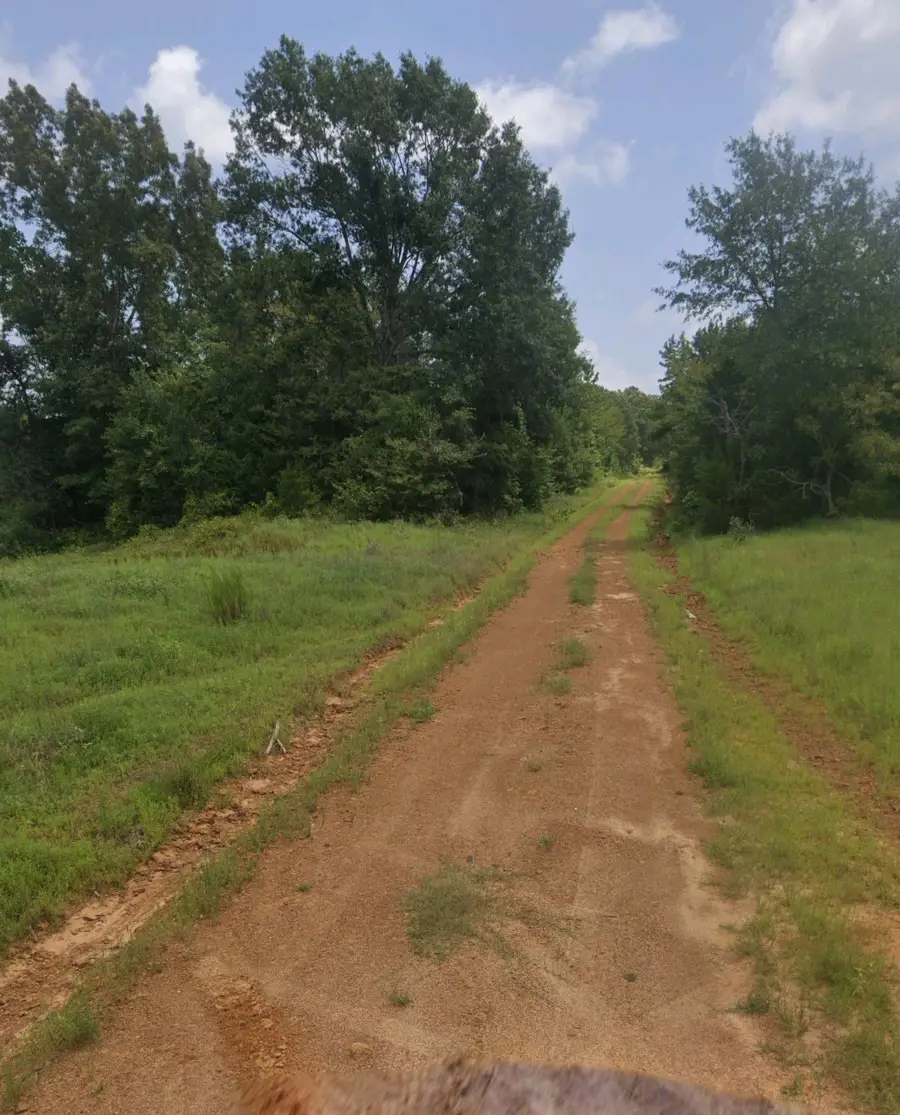TBD County Road 2907, Hughes Springs, TX 75656 - #2
