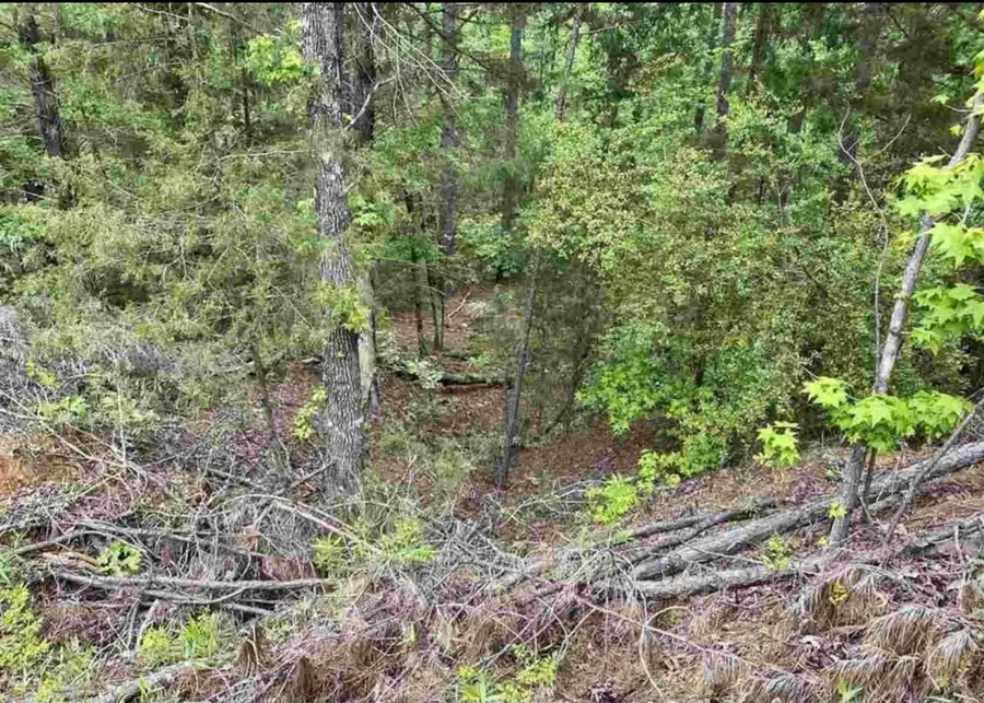 TBD County Road 2907, Hughes Springs, TX 75656 - #3