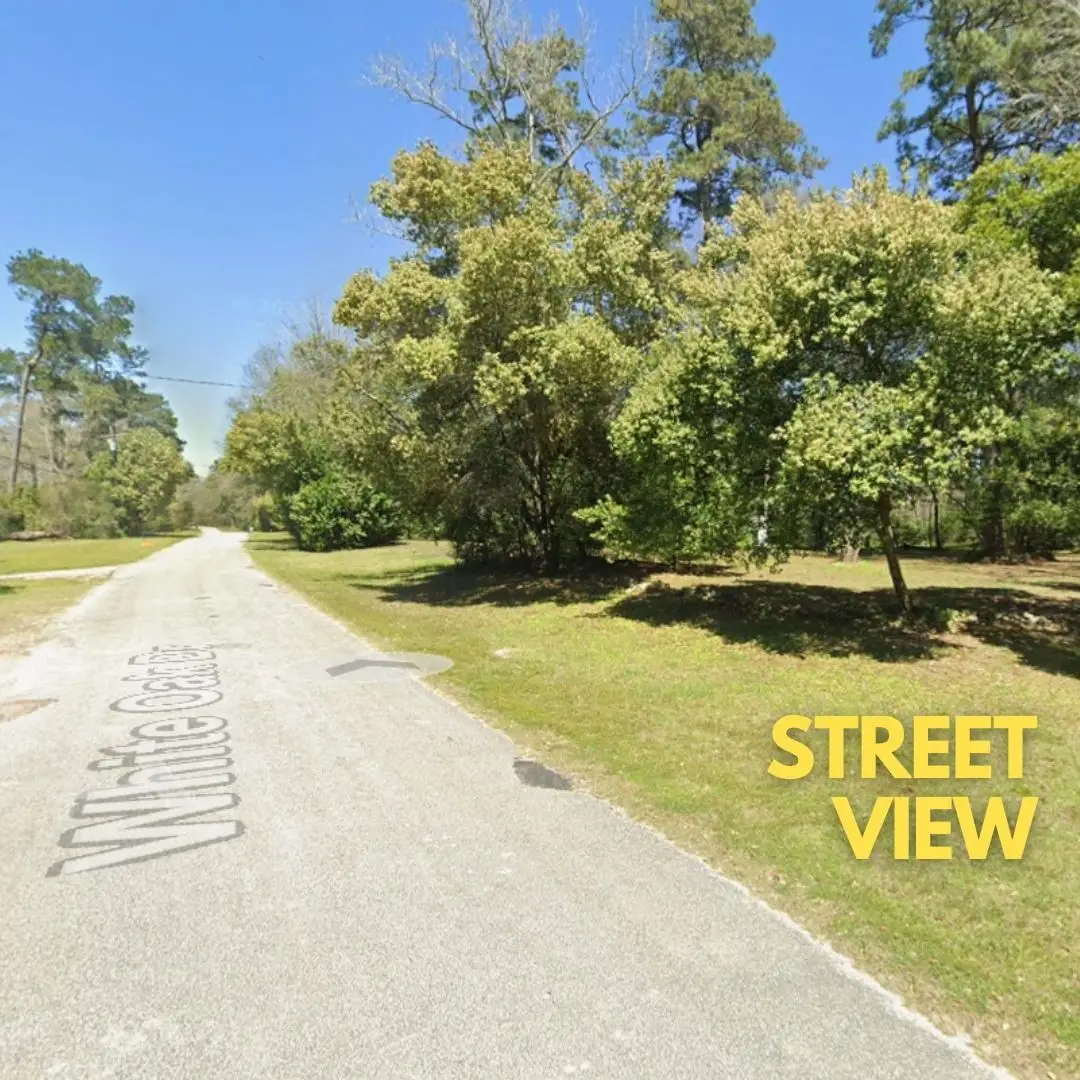 103 White Oak Drive, Woodbranch, TX 77357 - Image #1