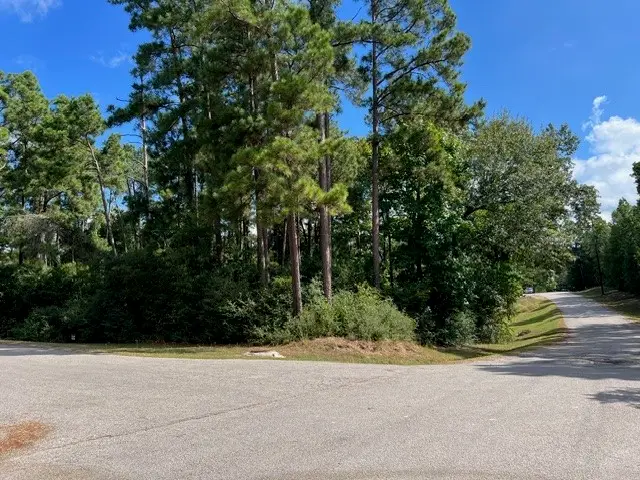 116 Water Oak, Livingston, TX 77351 - #2