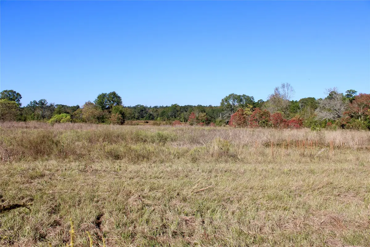 TBD Winfrey Rd, Coldspring, TX 77331 - Image #1