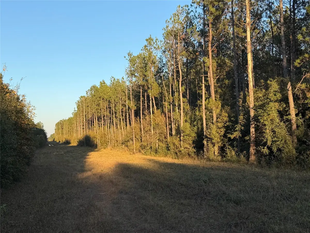 Lot 39 Carter Ranch Road, Kountze, TX 77625 - Image #1
