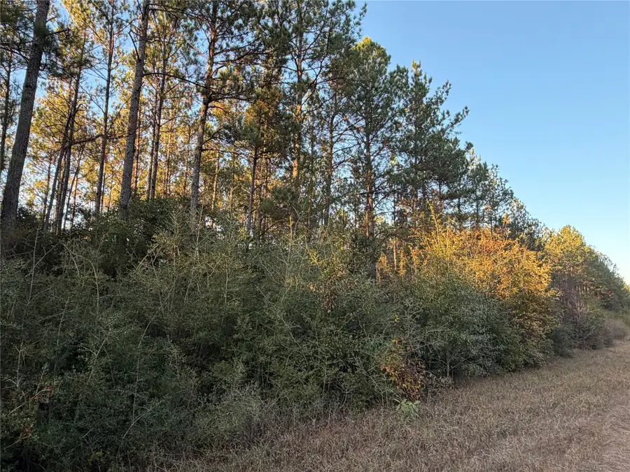 Lot 39 Carter Ranch Road, Kountze, TX 77625 - Image #3