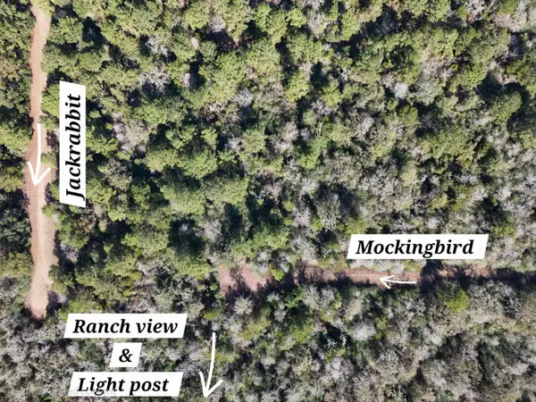 28802 Jackrabbit-all Drive, Hempstead, TX 77445