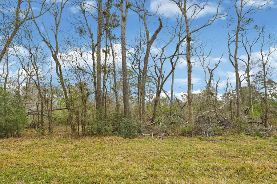 12202 Indian Oaks Ln, Houston, TX 77044 - #3