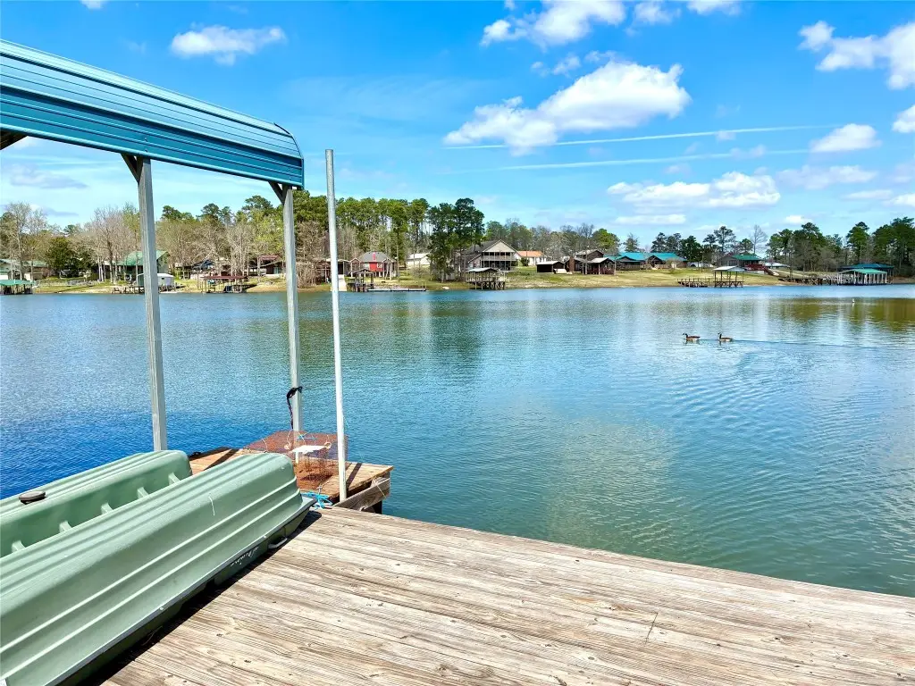 120 Pecan Drive, Burkeville, TX 75932 - #1