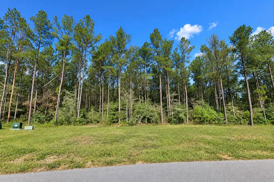 15321 Forest Grove Drive, Willis, TX 77378 - #3